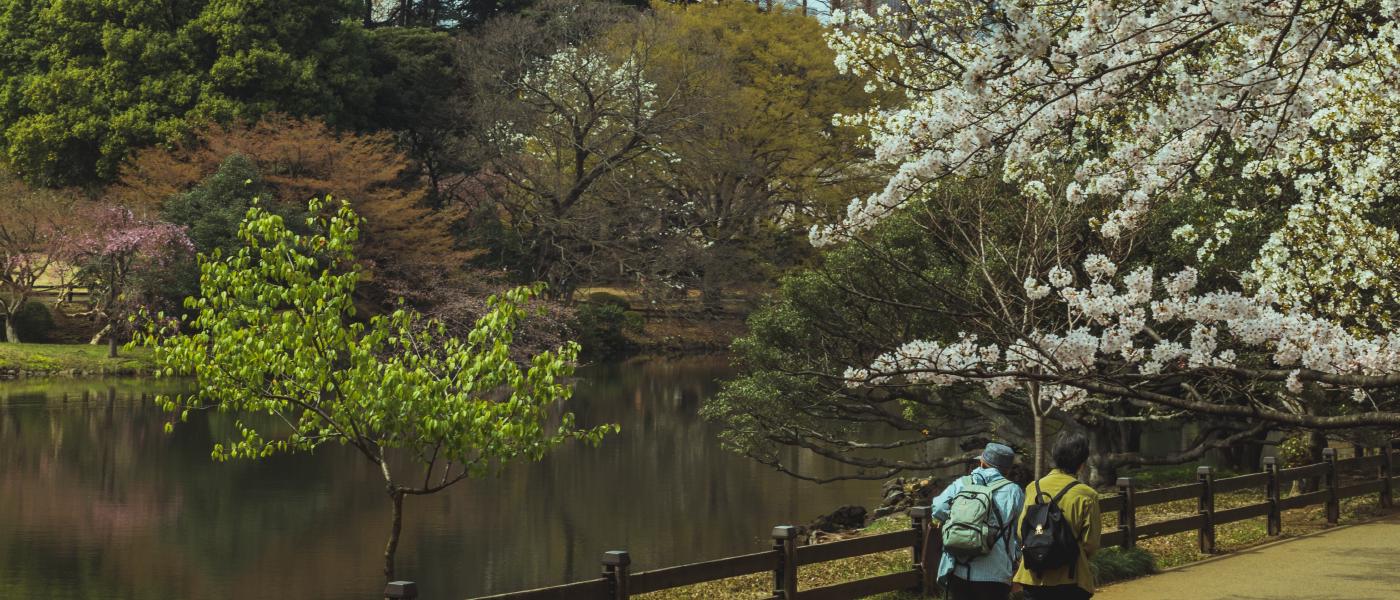 Shinjuku Gyo-en